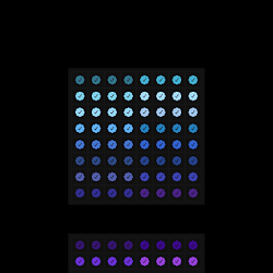 Checks PFP #100 cover