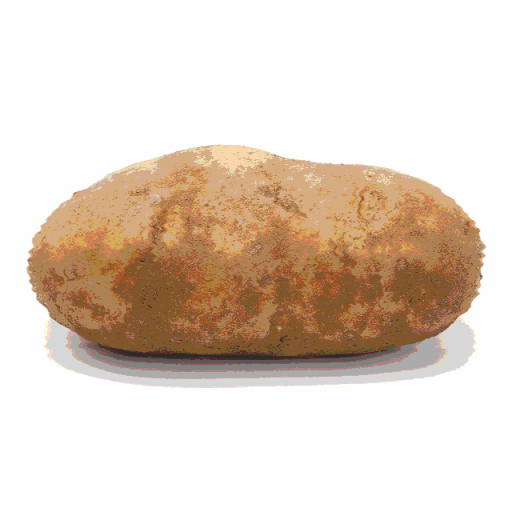 the people's potato cover