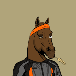 ARABIAN HORSE #10150 cover