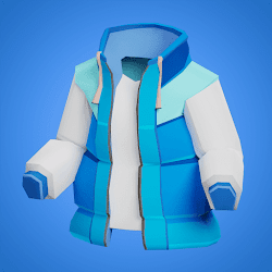 Blue Winter Jacket cover
