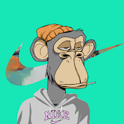 NIKE APE #40 cover