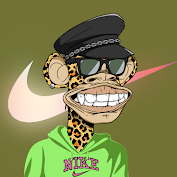 NIKE APE #43 cover