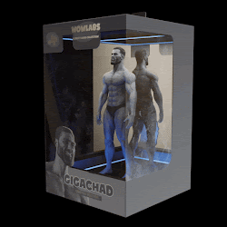 GigaChad Toy Box #4 cover