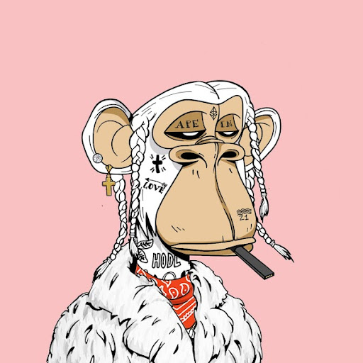Bored Ape Collab #3 cover
