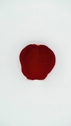 100,000 Rose Petals cover