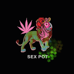 (SILENT) SEX POT cover
