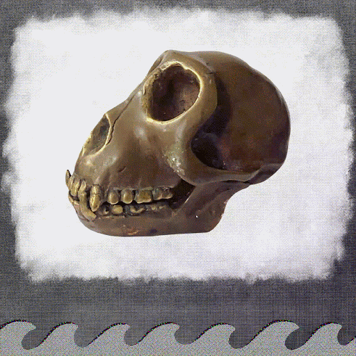 "PAYC" MEMBERSHIP SKULL #1 cover