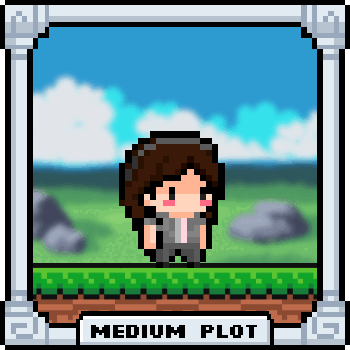 Etherjump Plot #2889 cover