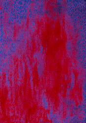 BLeU ROugE BLOCKS cover