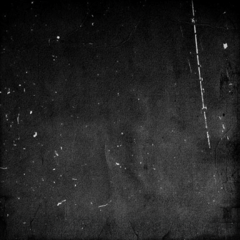 NFT degens / 50 cover