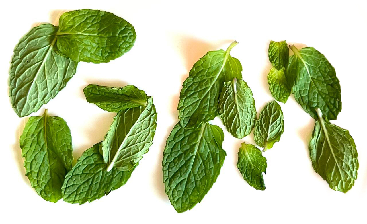 Free Mint GM cover
