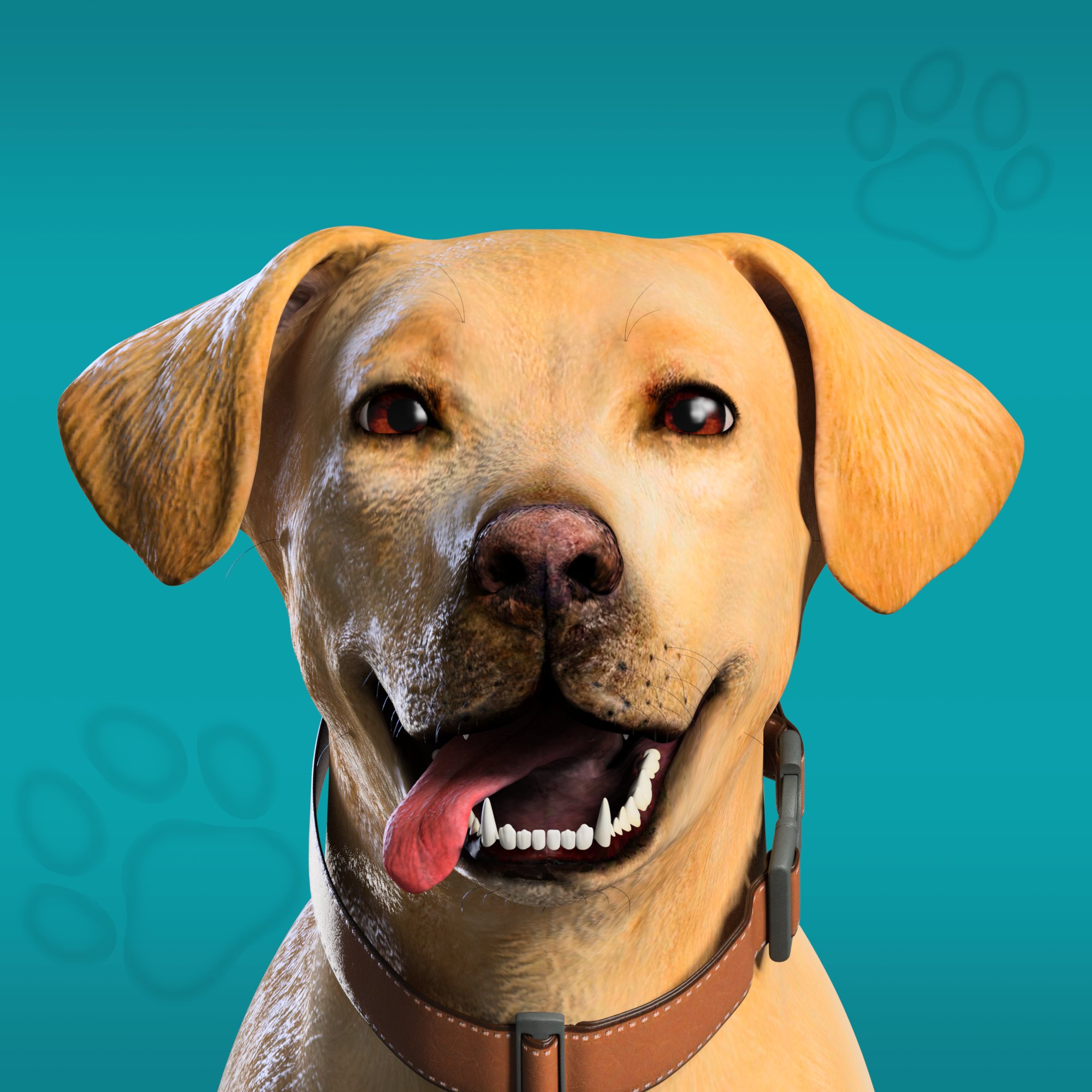 Sparky cover