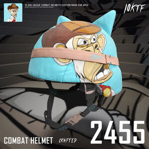 Ape Combat Helmet #2455 cover