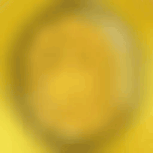 Reveal in Progress cover