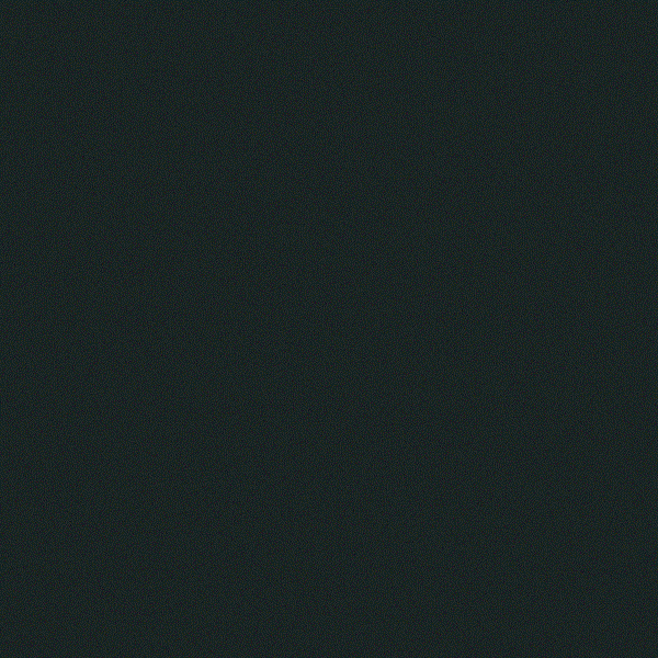 NYC Feb 19th 2020 cover