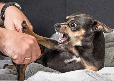 FFF