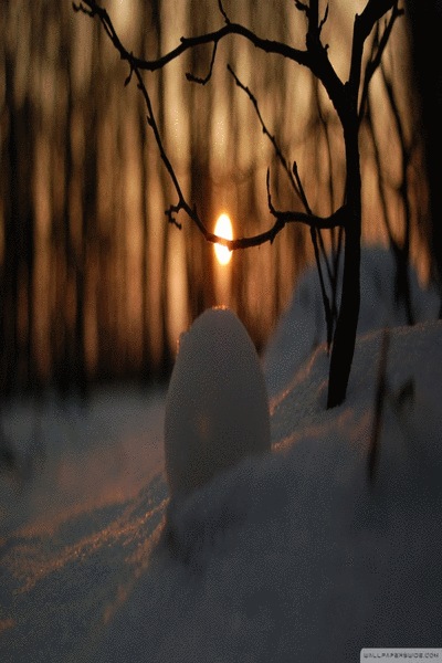 Nature