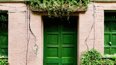 vine