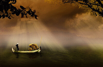 in thick fog olive green gobi