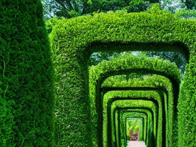 maze