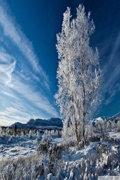 Nature
