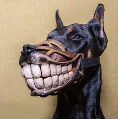 floki