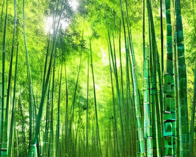 bamboo