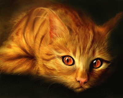 cat