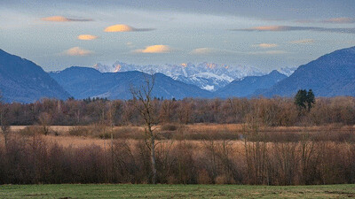 after hailstorm beeswax-colored terraced fields,