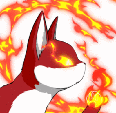 angry cat