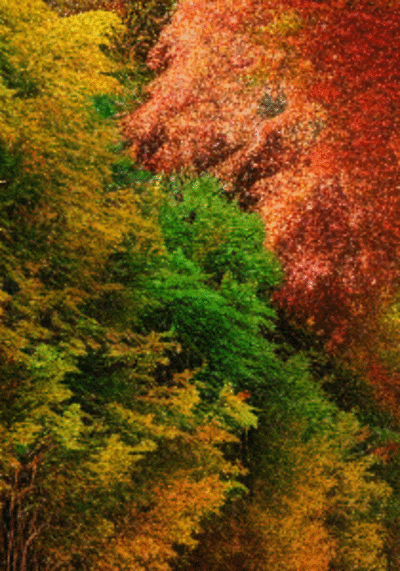 countryRoad