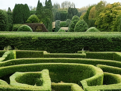 maze