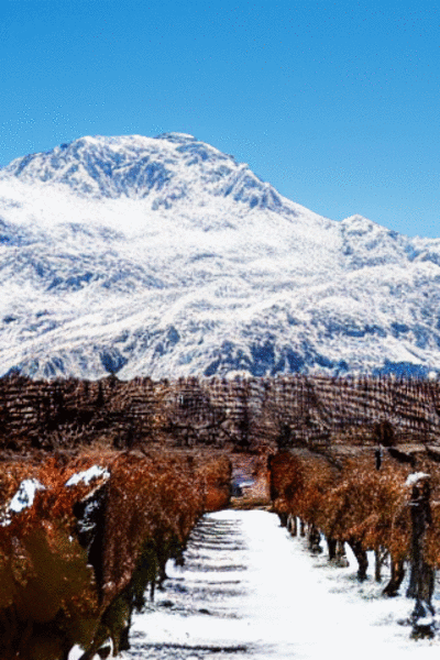 mountain