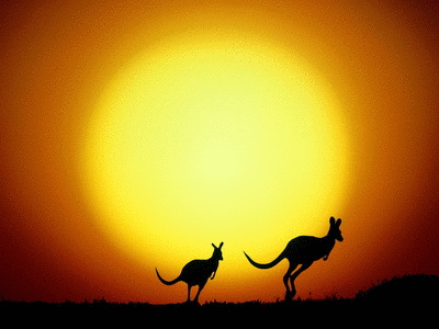 sun