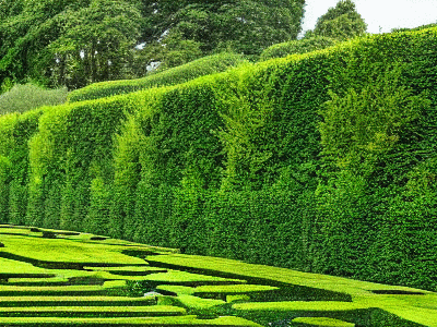 maze