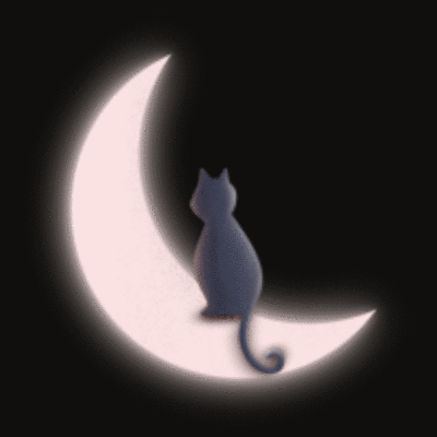 Cat MOON