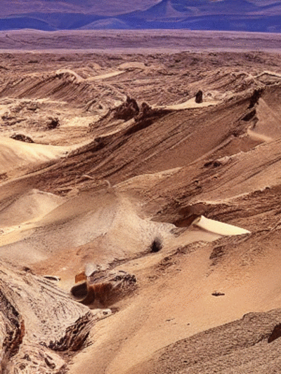 desert