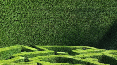 maze