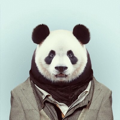 Panda Token