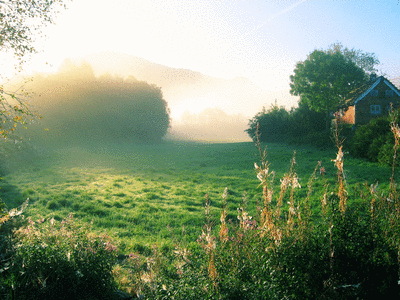 Nature