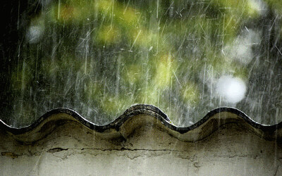 Rain