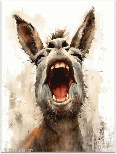 My Donkey