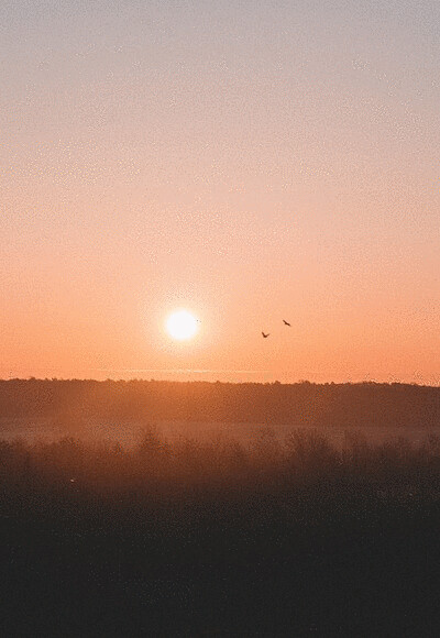 with morning glow filling the sky olive