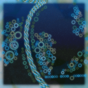 Friendship Bracelets #1581 cover