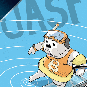 Curio Card #17b (UASF) cover