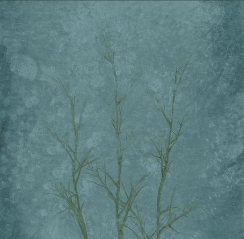 Her favorite flowers