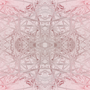 chaos comes with the summer haze #97 cover