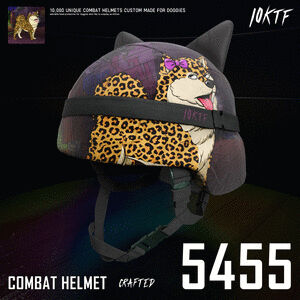 Kennel Combat Helmet #5455 cover