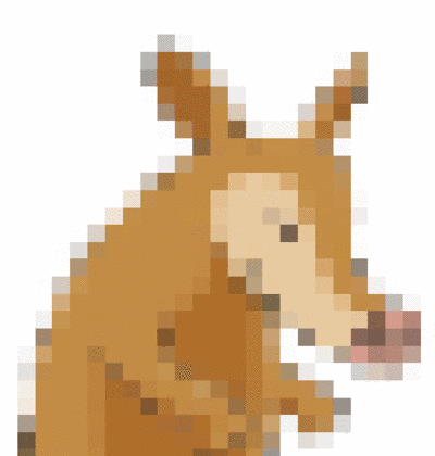AardVark