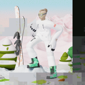 Explorer #4620 cover